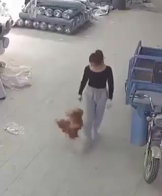 cover for She beat the brakes off that chicken😂