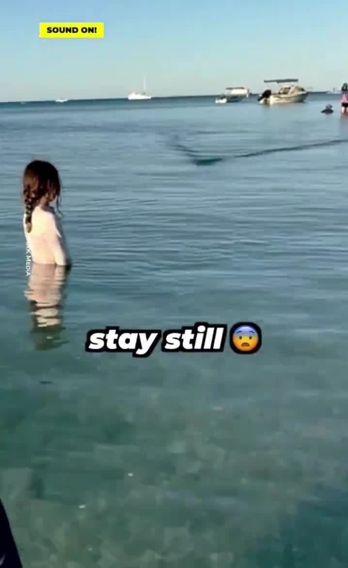 cover for Woww watch this to the end 🤯😳 #fyp #viral #fypシ゚viral