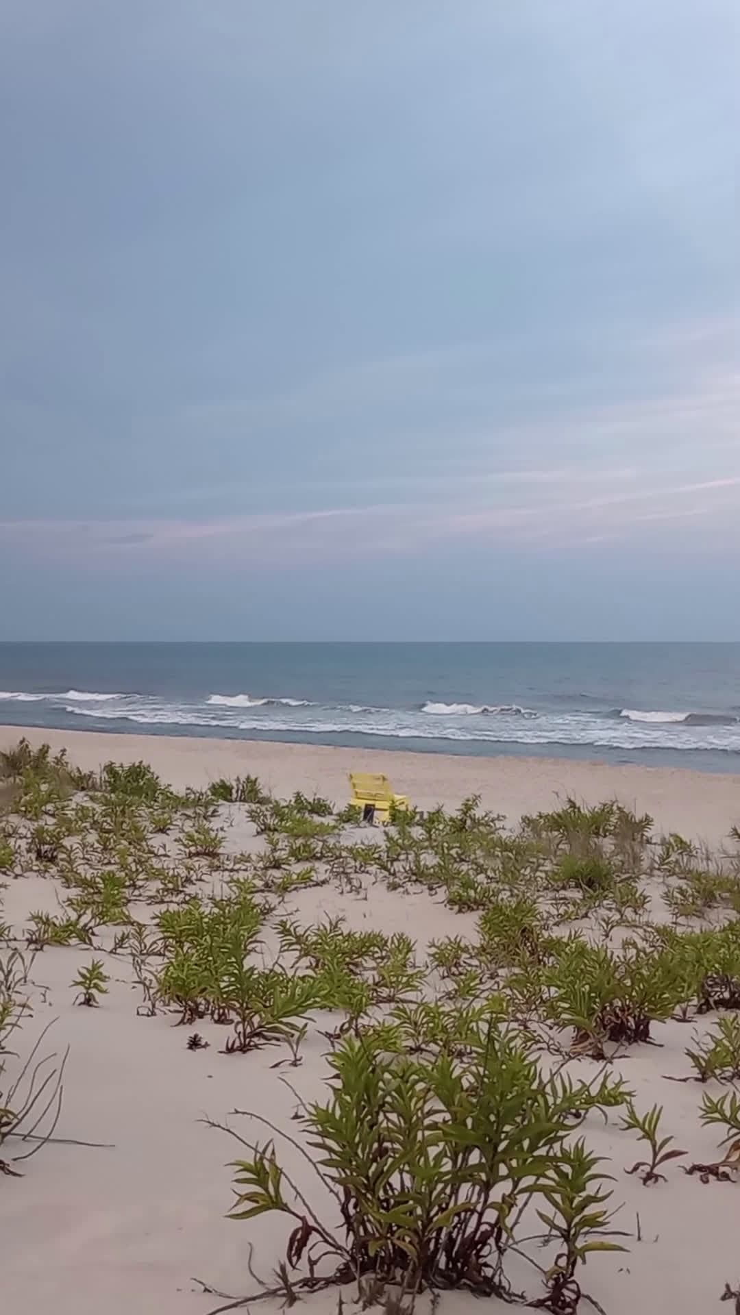 cover for Beach at Long Beach Island  #nj #newjersey #longbeachisland #lbi #video #shorts #scoopz #ocean 