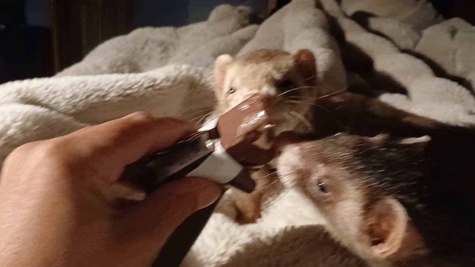 cover for a little bed time ice cream snack 