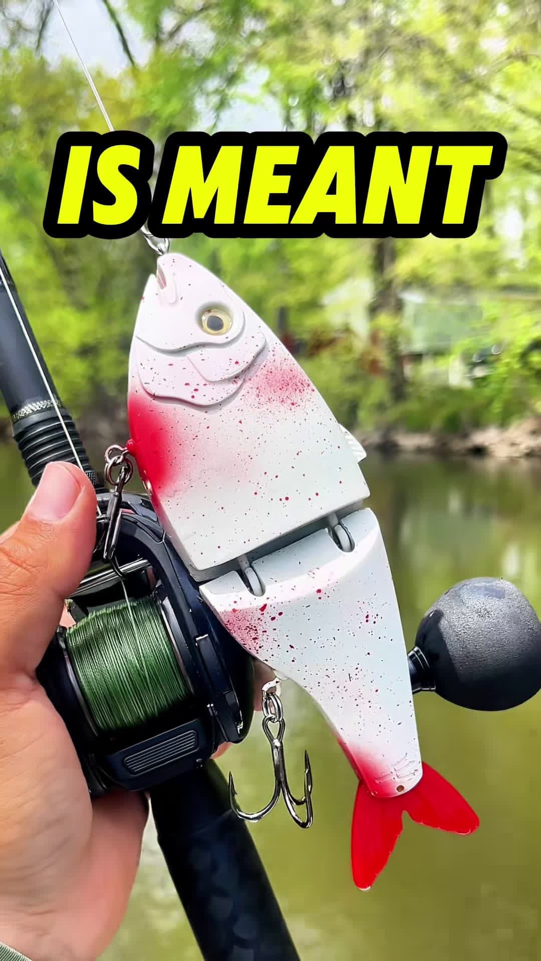 cover for #FirstVideoChallenge This lure catches MONSTER FISH!!!