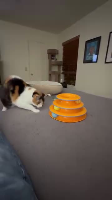 cover for She loves this toy! Shes had it for 10 years now