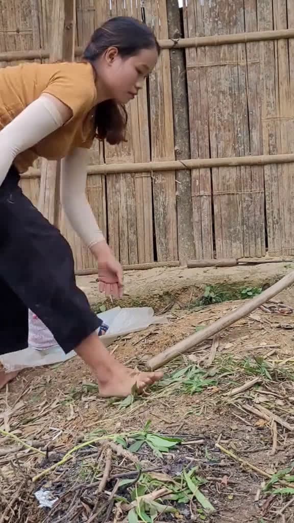 cover for EP.24  Clear grass dig foundations cut down trees and prepare to make a small kitchen 92526 #shortvideos