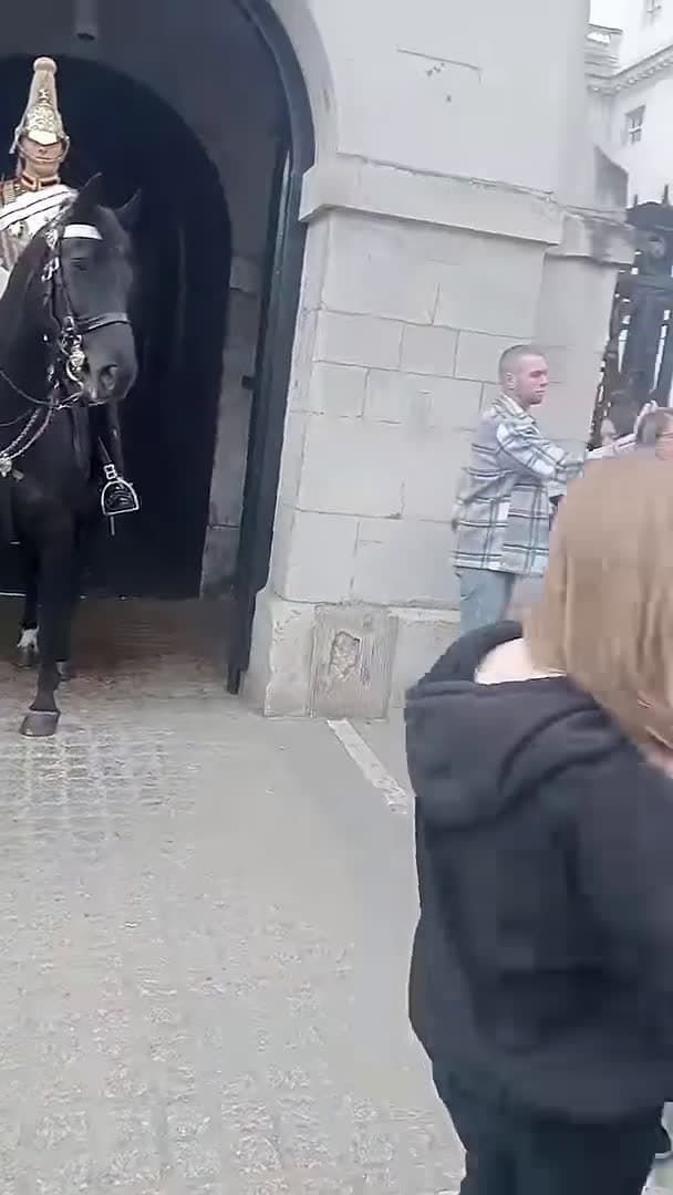 cover for THE TIME FOR SELFIE WITH THE KING'S LIFE GUARD. #tourist #tourism #horse 