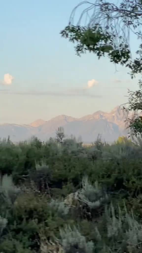 cover for Close Call: Kid Nearly Mauled at Grand Teton Park