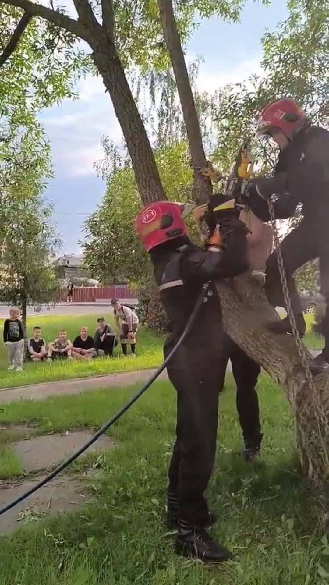 cover for Rescuers Free Girl's Leg Trapped Between Trees  #wholesome 