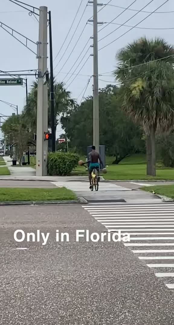 cover for Only in Florida 😂 #Florida #Funny #Viral