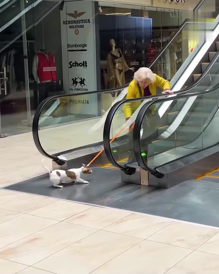 cover for Heroic Act: Young Woman Rescues Elderly Woman's Dog