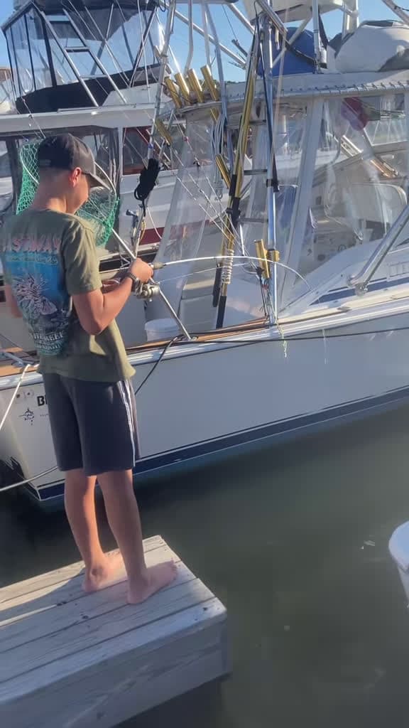 cover for Insane fishing catch you have to see! 🎣 #fishing #spinningreel #baitcaster