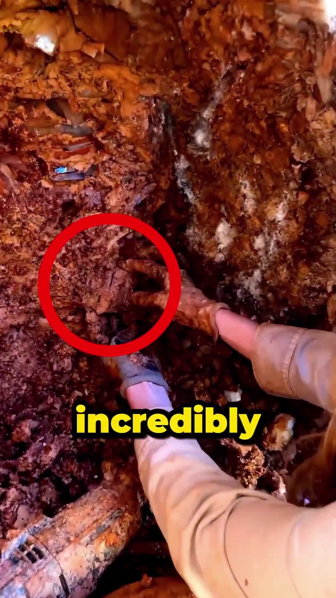 cover for Found Rarest Crystal