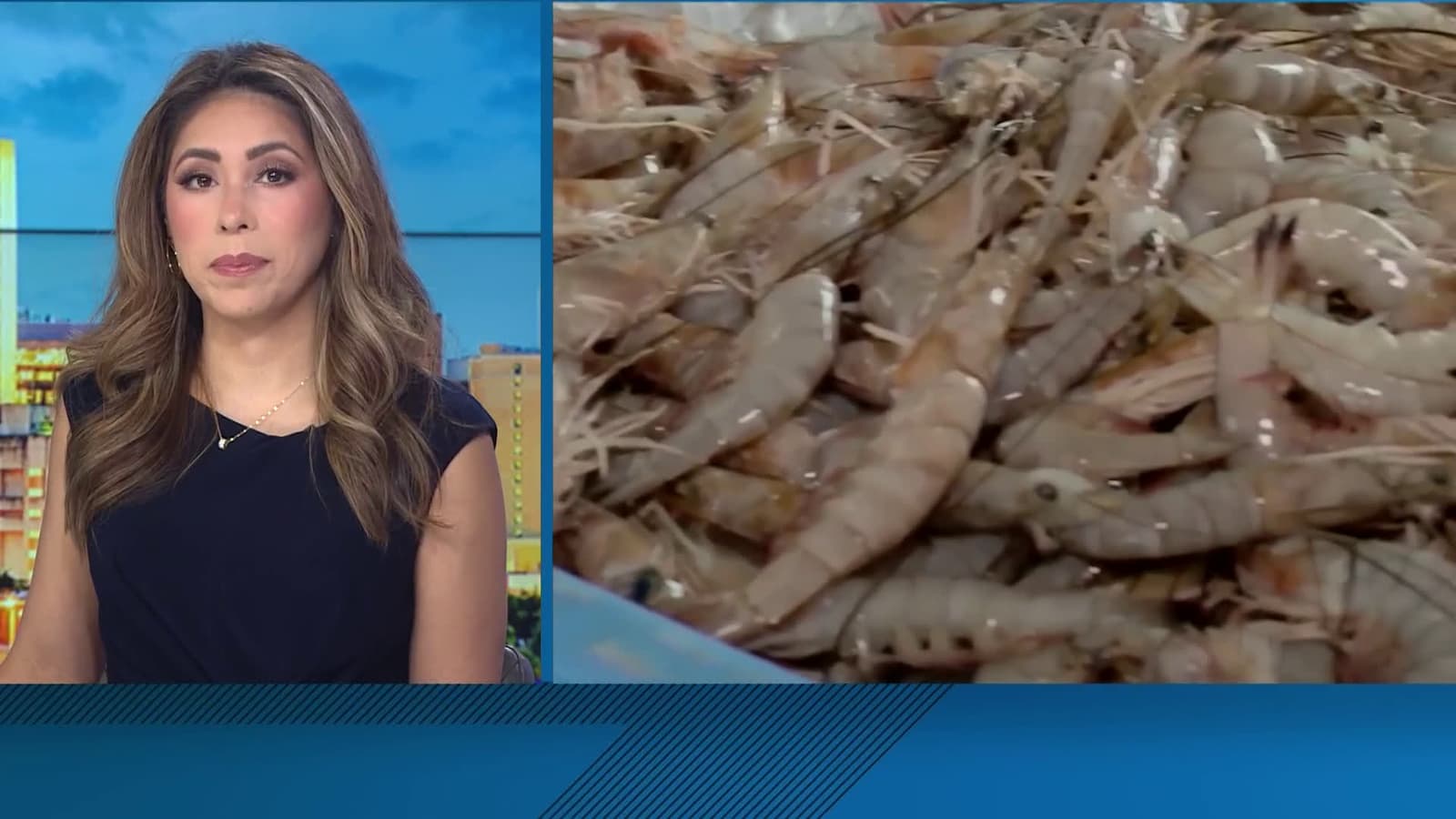 cover for FDA warning about possible radioactive shrimp