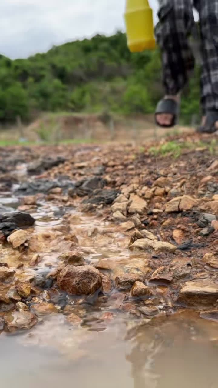 cover for Looking for gold and panning for gold buried in river walls #golddiscovery #goldpanning #mininggold #goldhunter #viralvodeo #foryou #foryoupage