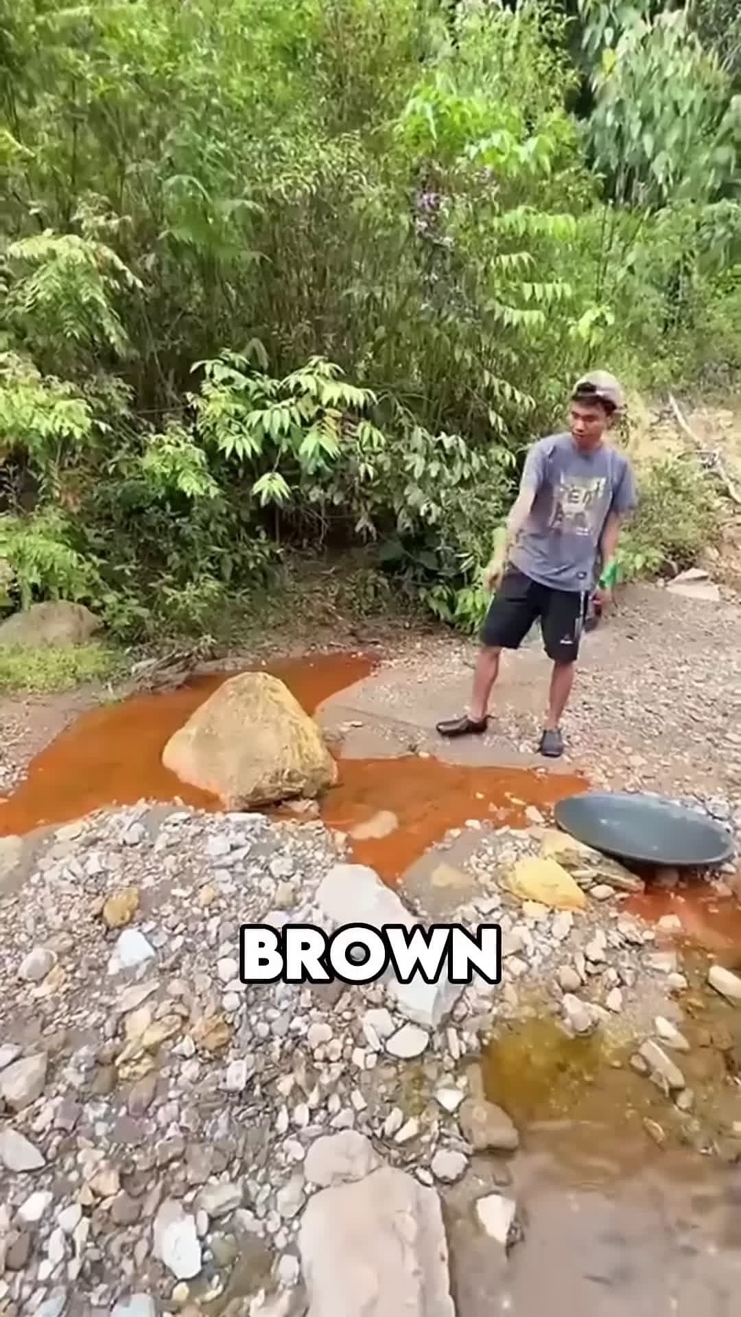 cover for He Found Gold In The Brown Water