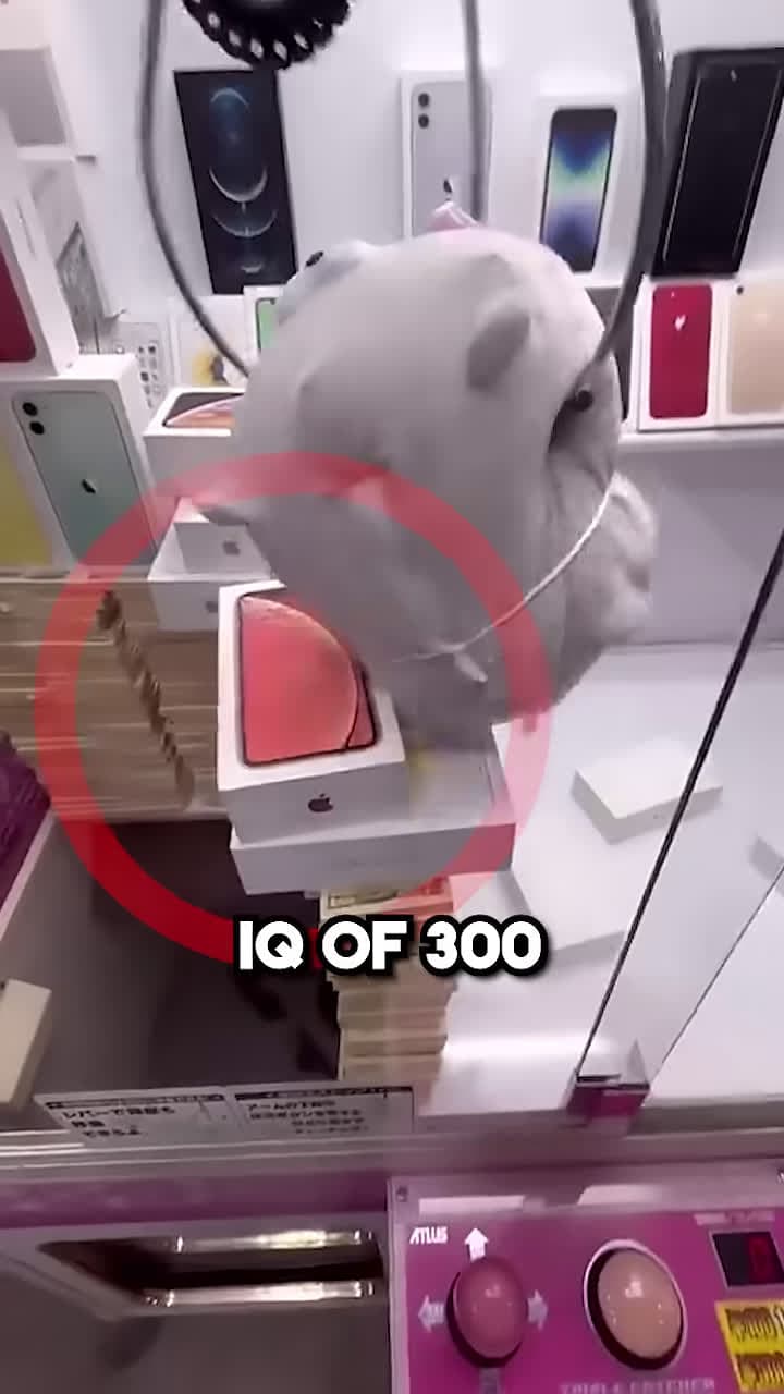 cover for This Man has 300 IQ