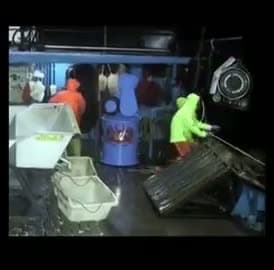 cover for Crew member accidentally falls overboard! 😱 #EpicFail #ShipLife #StaySafe