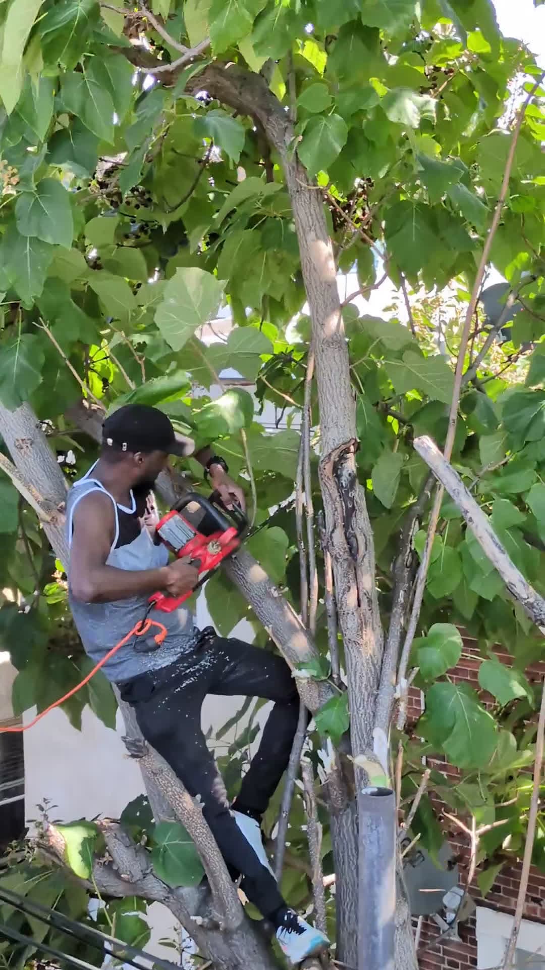 cover for Watch these pro lumberjacks in action! 🌲💪 #Lumberjack #Woodworking #Skills #Nature
