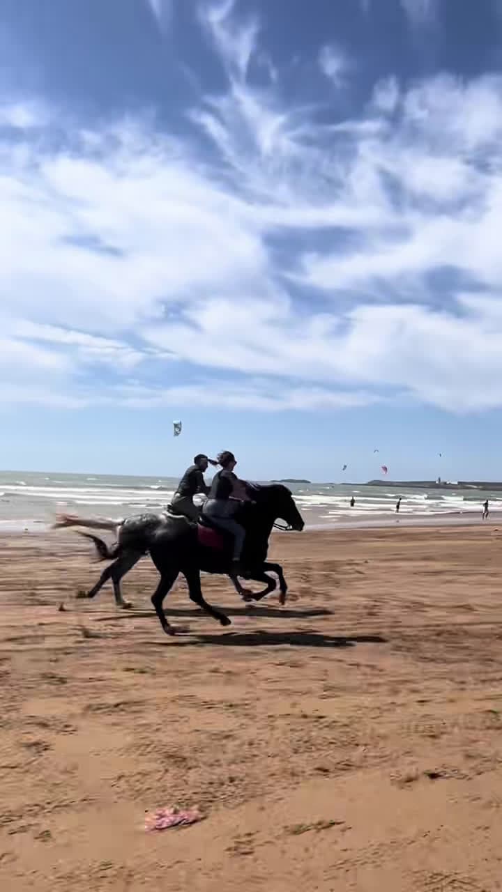 cover for AmAzing STallions and EndLess beachEs, where 👉🏼 Just in Esaaouira 💫😍❤️🇲🇦🐎🎊🧡💙🫶🏼🤩 👉🏼 We are a Travel Agency based in Essaouira (Morocco). Join us for an unforgettable horseride holidays. Ride the best