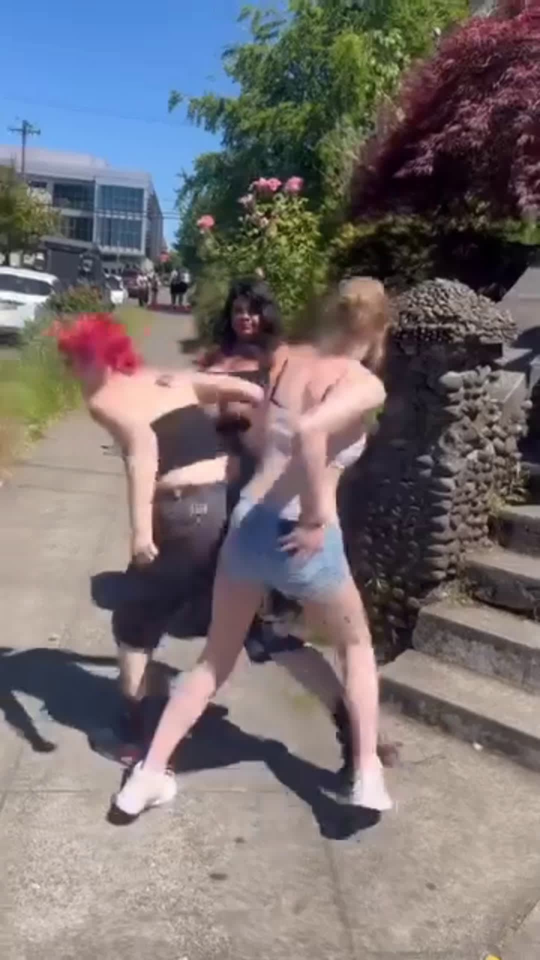 cover for who do you think won  #fight  #fightcam  #fight 