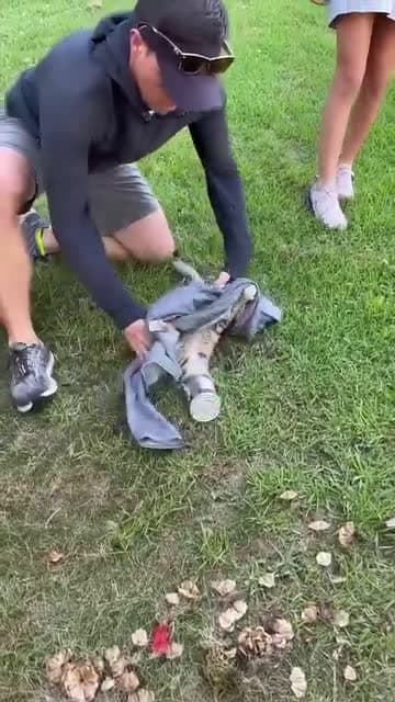 cover for Family Rescues Cat Stuck in Can #rescue #animals #rescueanimals #fyp