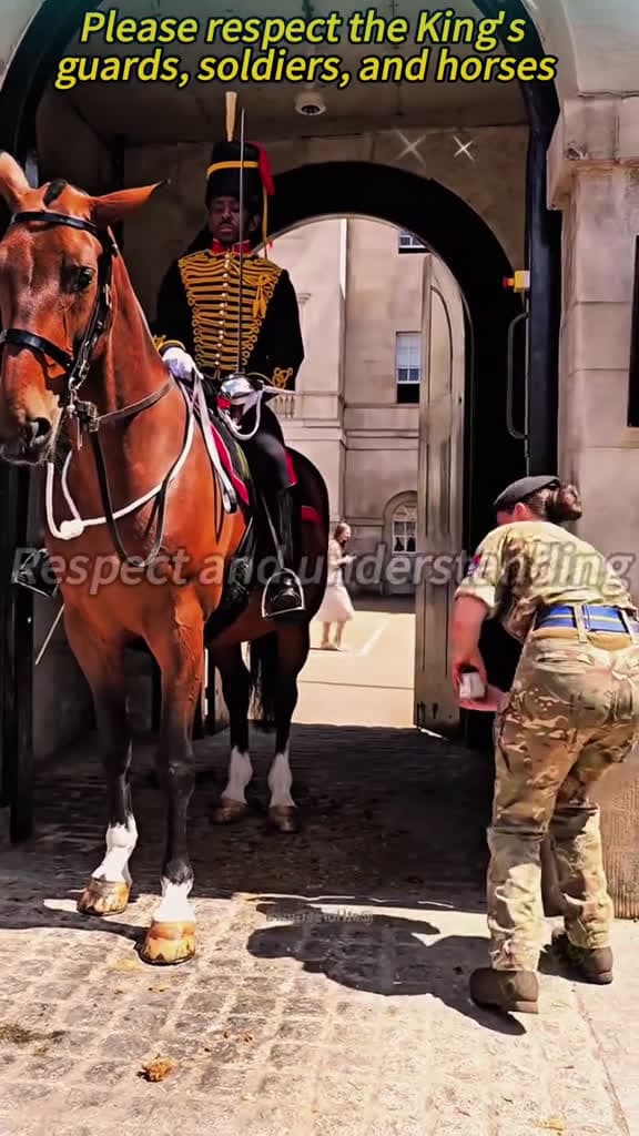 cover for respect moment for soldier king guard horse respect Guardian of Kings Royal Guards soldier 23799 #american