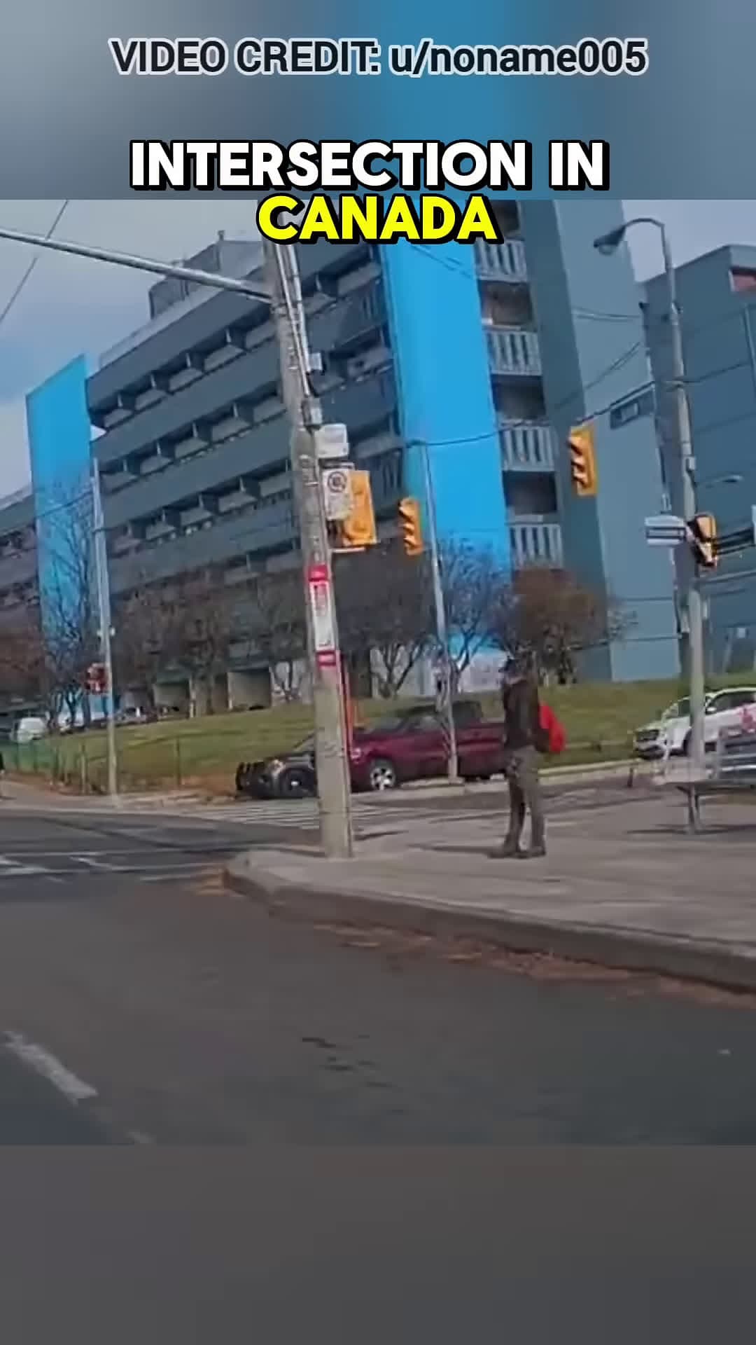cover for Road Raging Cop Tells Driver To Shut Up