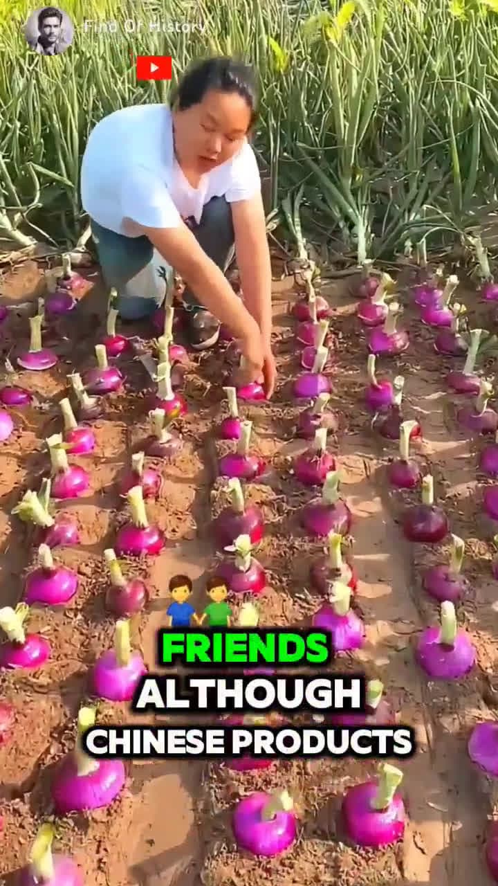 cover for Unique skills in growing Onions Fruit shorts short unique