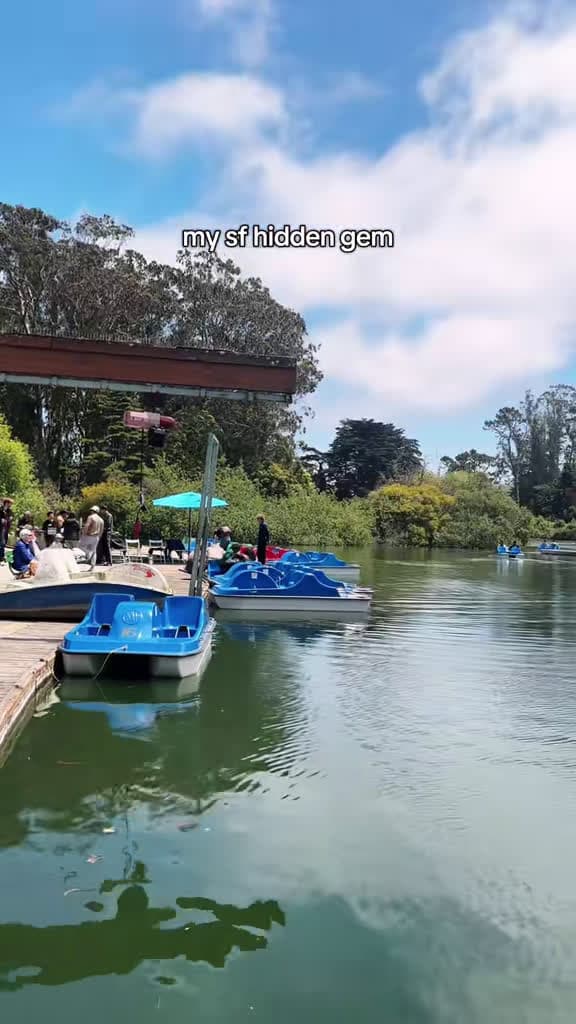 cover for Boat bliss in Golden Gate Park 🚣‍♀️⛵ Paddle or row at Blue Heron Boathouse—boats start at $26/hr, plus a cozy cafe to refuel. 50 Blue Heron Lake Dr, SF. #SF #GoldenGatePark #Boating #BayArea #SFDateIdeas