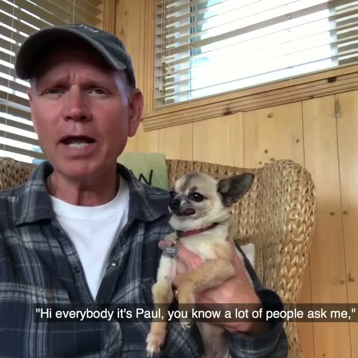 cover for This dog's funniest moment will make your day! 😂 #DogLife #FunnyPets #Iconic