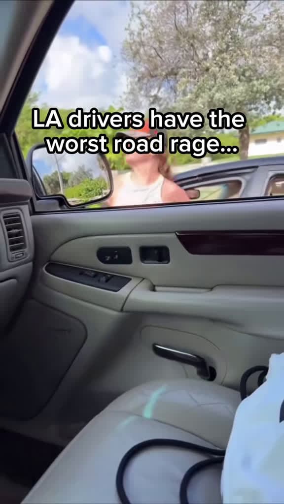 cover for When LA drivers lose it on the road 😡🚗 #RoadRage #LADrivers #DrivingFails