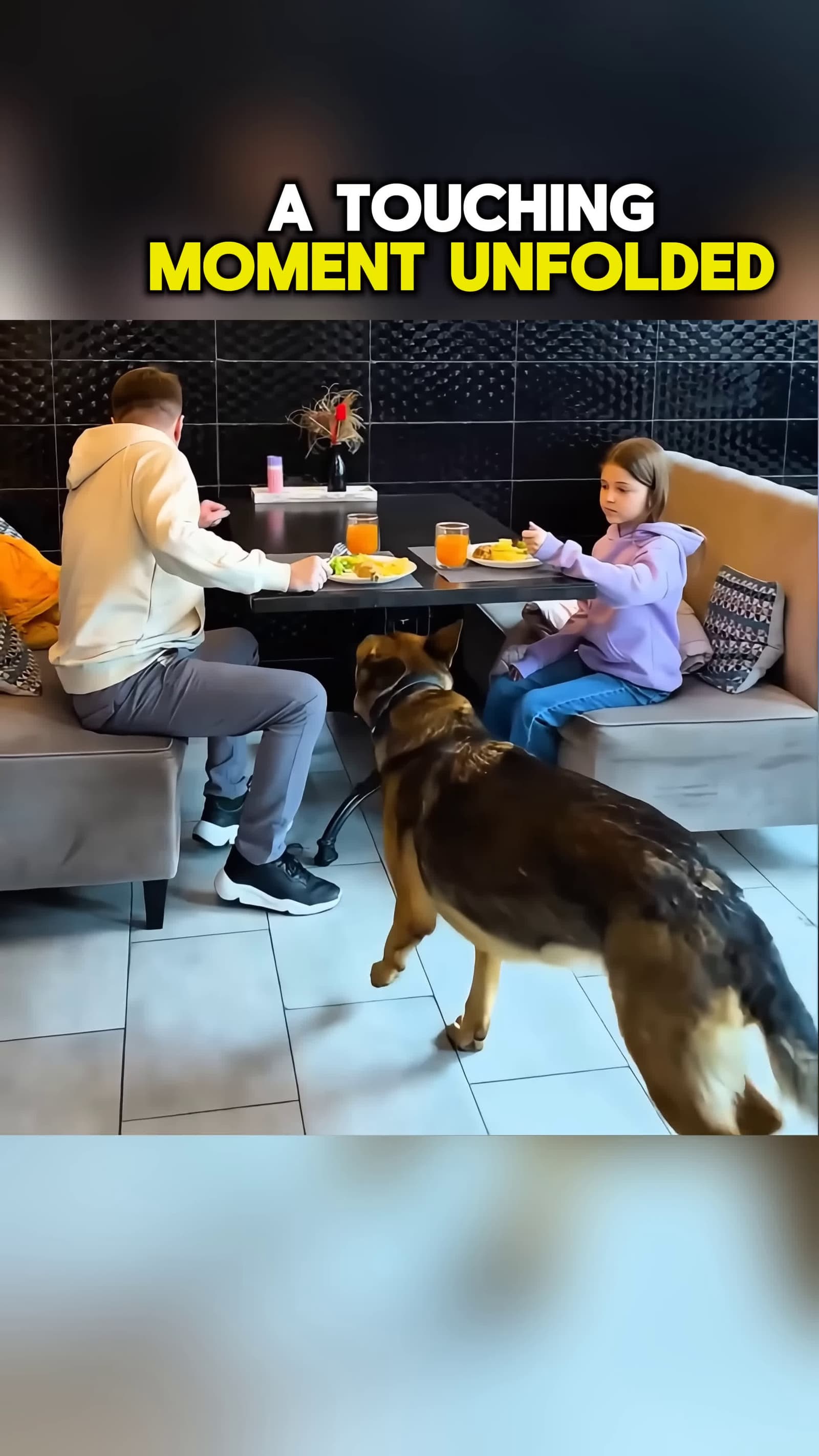 cover for Caught Stealing Food to Feed a Puppy shorts kindness helpneedy shortsviral