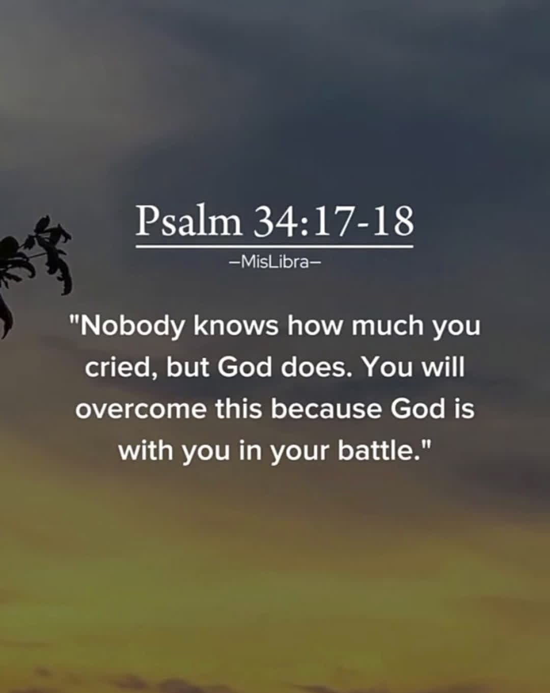 cover for #dailyscriptures 