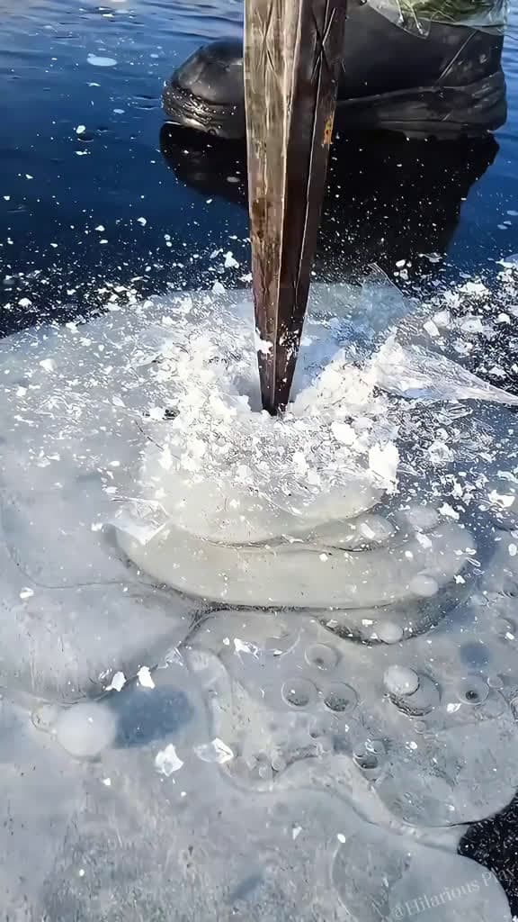 cover for Playing ice is the happiest thing satisfyling asmr ice fyp oddlysatisfying 18990 #ilovescoopz