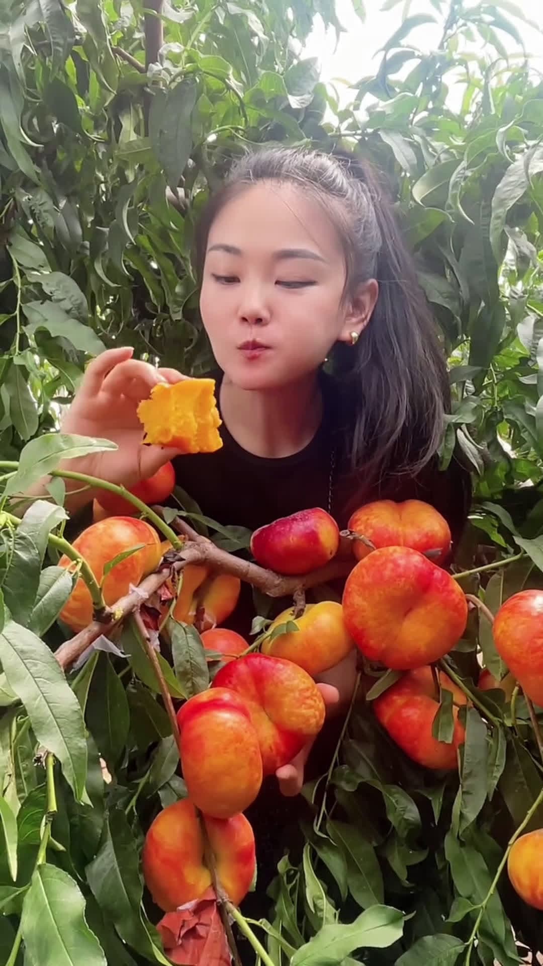 cover for Fruit 🍑