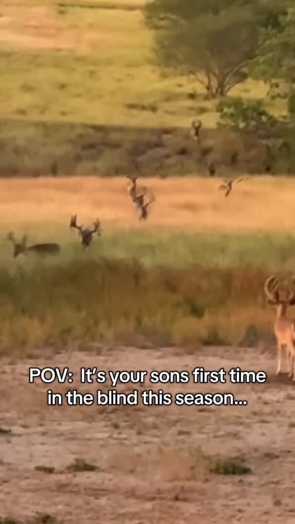 cover for His first time in the blind and you won't believe his reaction! 😂 #funny #deerhunting #wildlife