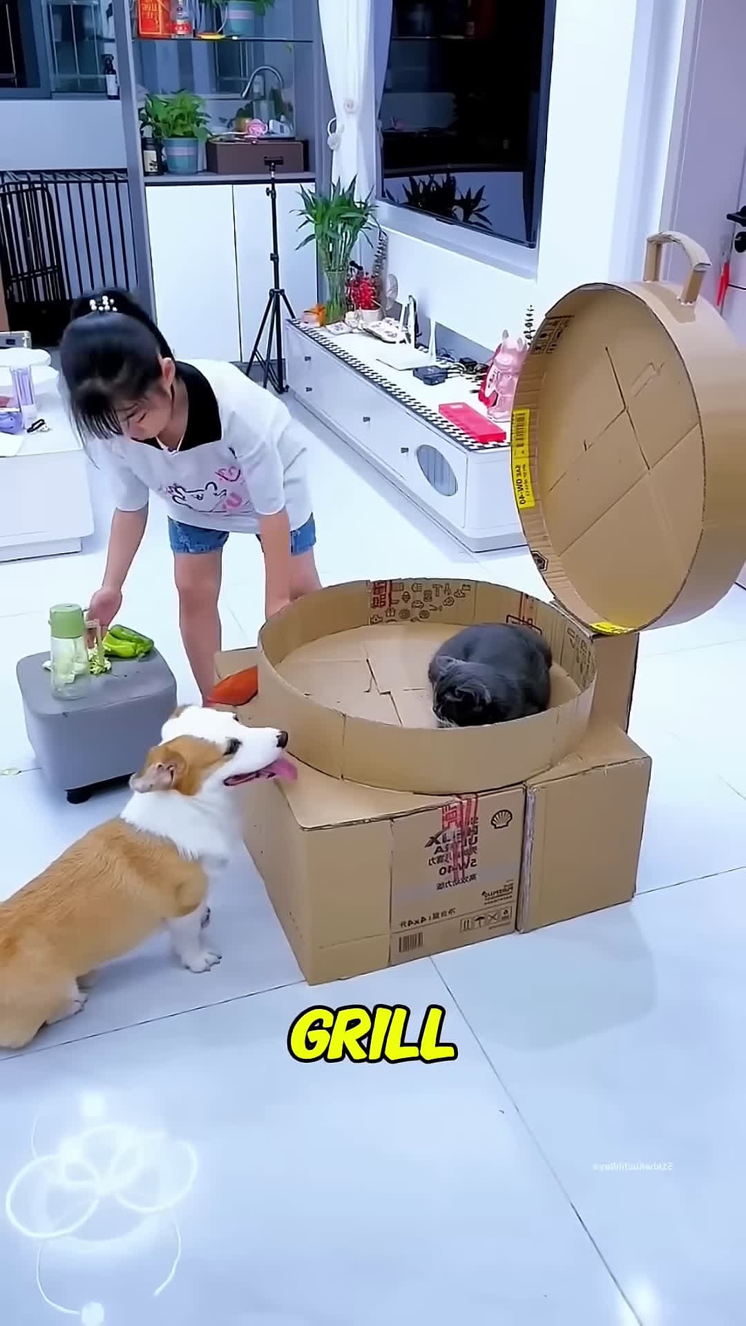 cover for Prank Gone Wrong When Fake Smoke Backfired