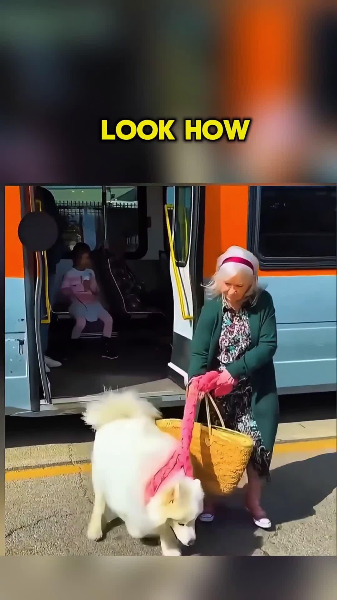 cover for One Small Act That Changed Everything shorts kindness helpneedy shortsviral