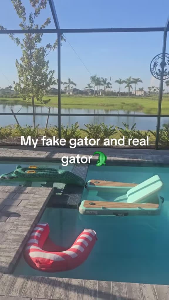 cover for Can you spot the real gator vs the fake one? 🐊 #alligator #florida #pond
