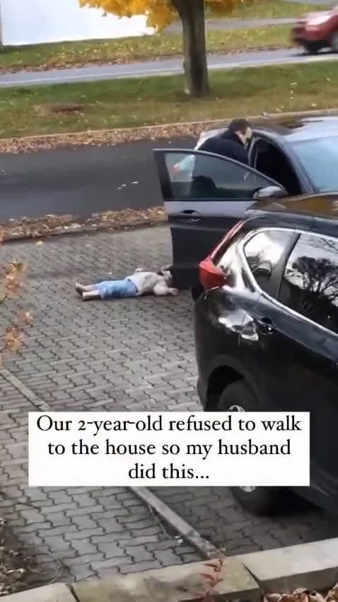 cover for This probably one of the funniest videos I’ve ever seen  #lol #funny  #viral  #trending  #fyp  #scoopz