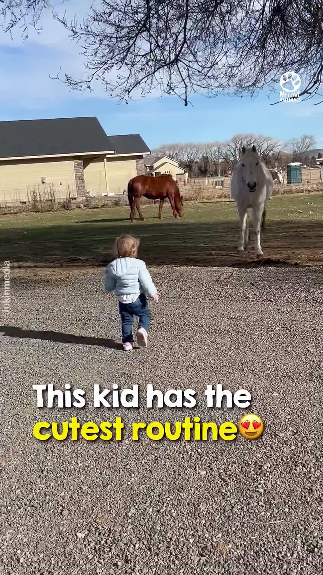 cover for The horse actually hugs back 😭❤️