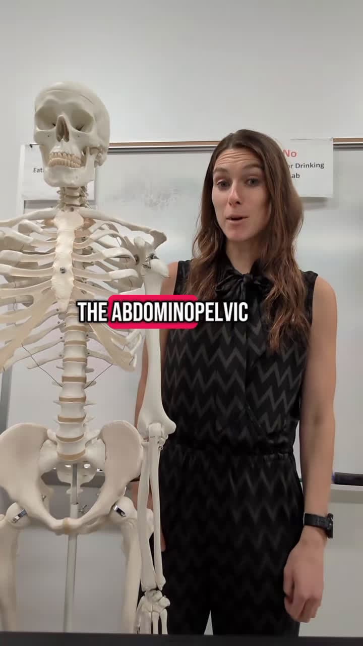 cover for #anatomy #learnontiktok #tiktokeducation #edutok #stemlife #anatomyandphysiology #anatomyandphysiology #memorytip #memorytips #educated #learnwithtiktok #stemlife