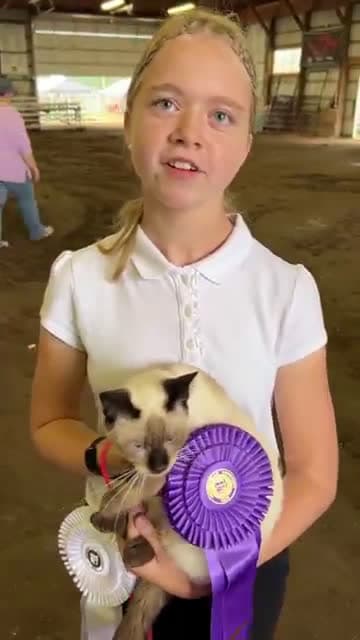 cover for Meet the 4-H grand champion cat from Hudsonville Community Fair