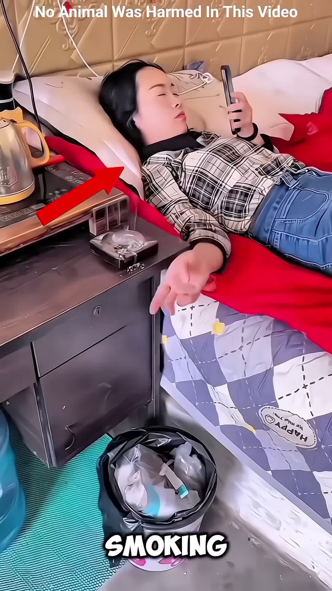 cover for This Girl Saved By This Genius Dog