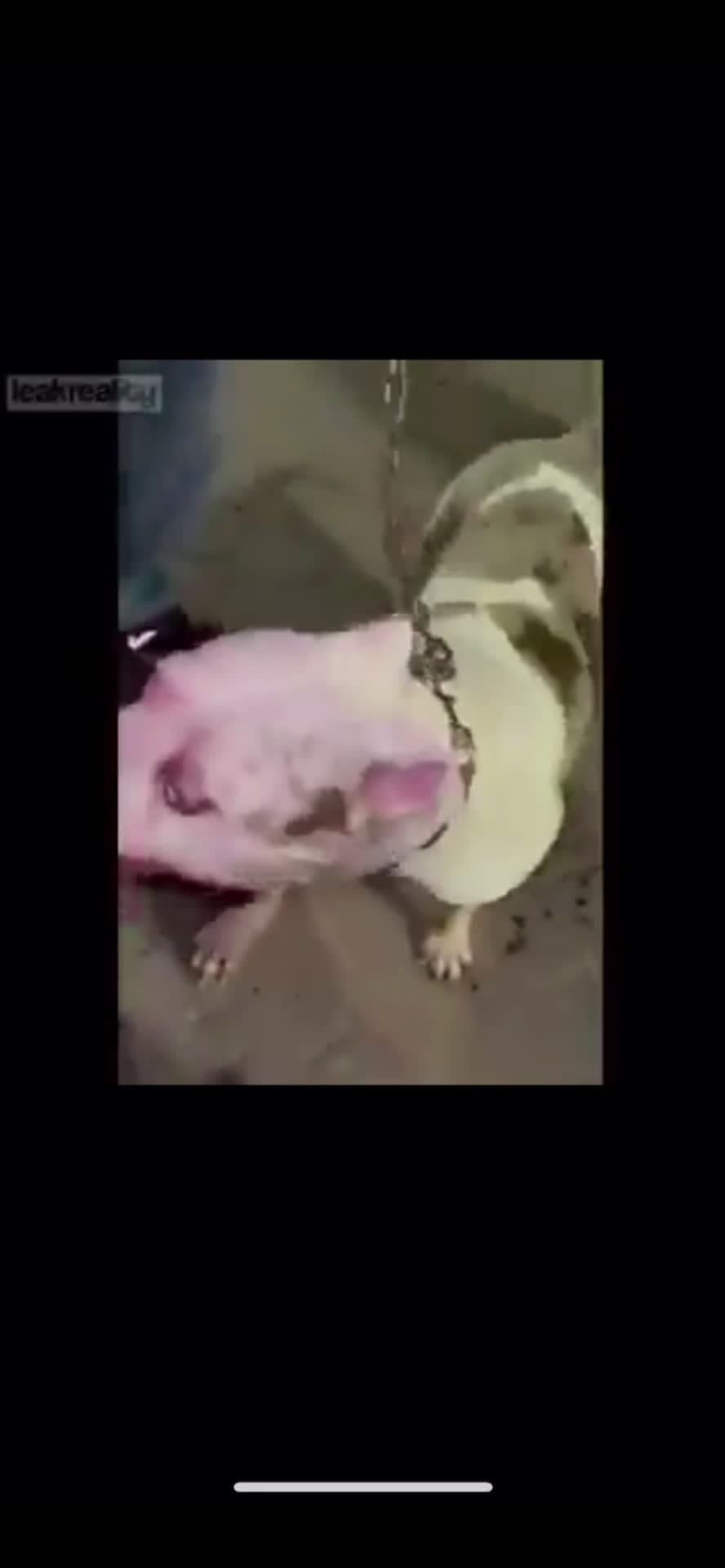 cover for Satisfying asff🤤🤤  #fight  #viral