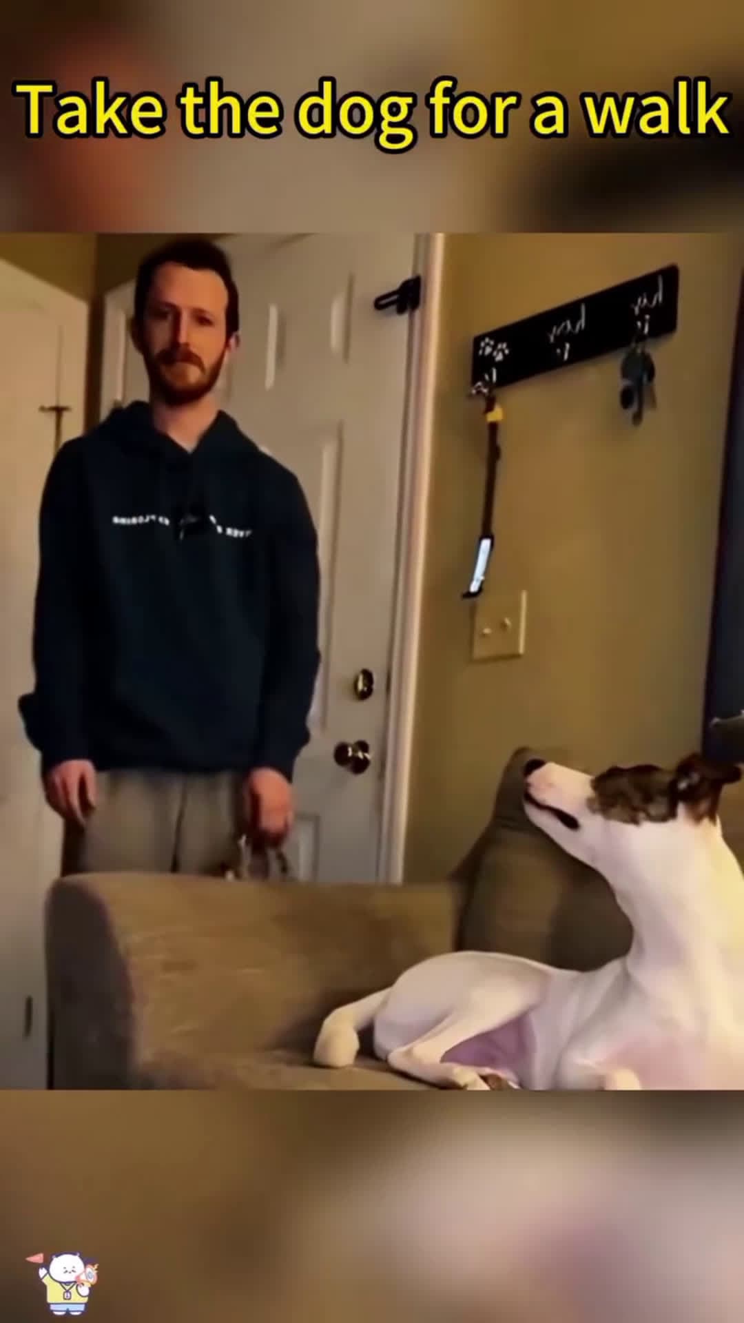 cover for #CaughtOnCamera #funny #lol #viral #viralvideo #fyp #foryou #dog #animals Take the dog for a walk 😅🐕