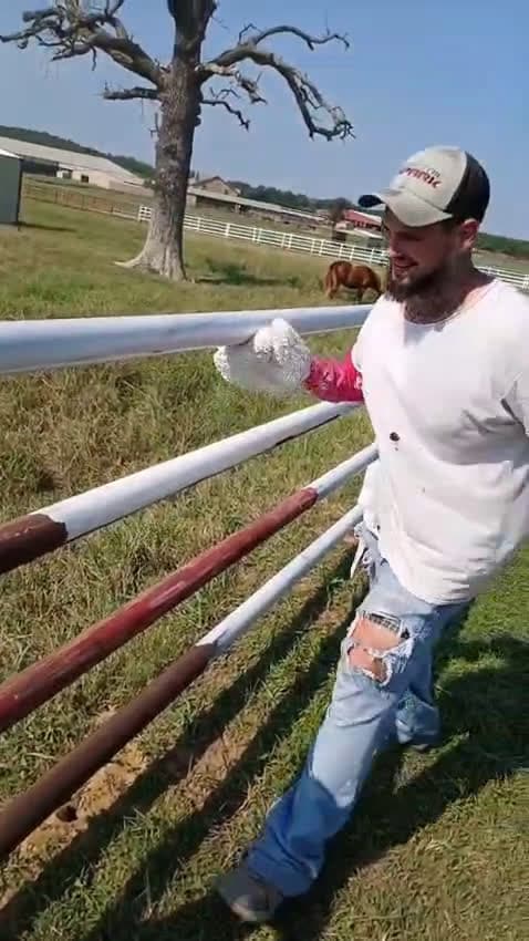 cover for How to paint the fence well and quickly 