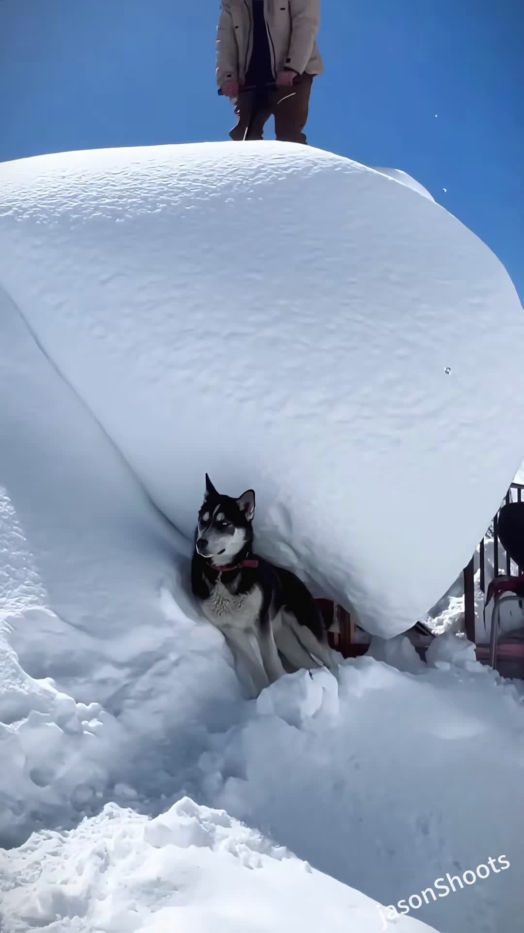 cover for #OddlySatisfying A satisfying way to remove snow #fpy #usa_tiktok #usaus