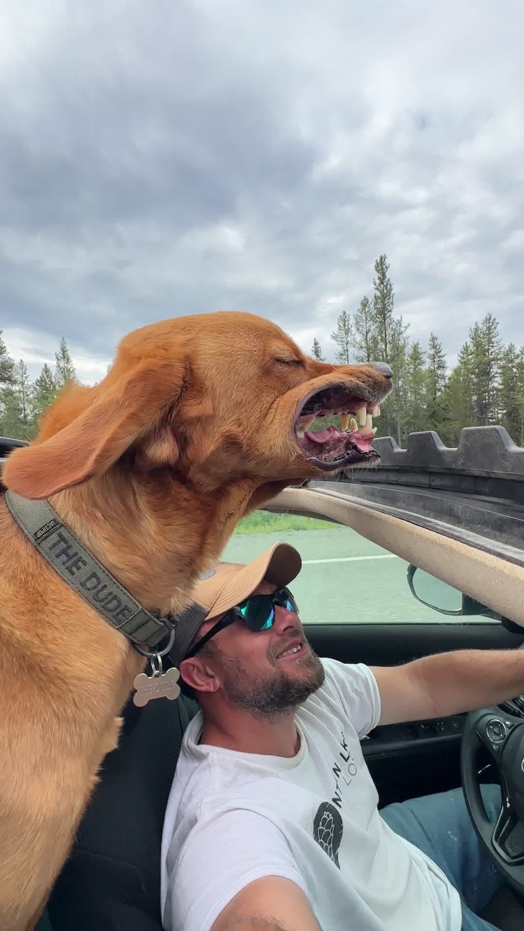 cover for Yukon Sunroof Dog