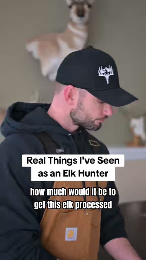 cover for Real things I've seen while elk hunting that will blow your mind 🦌🔥 #elk #hunting #outdoors #wildlife