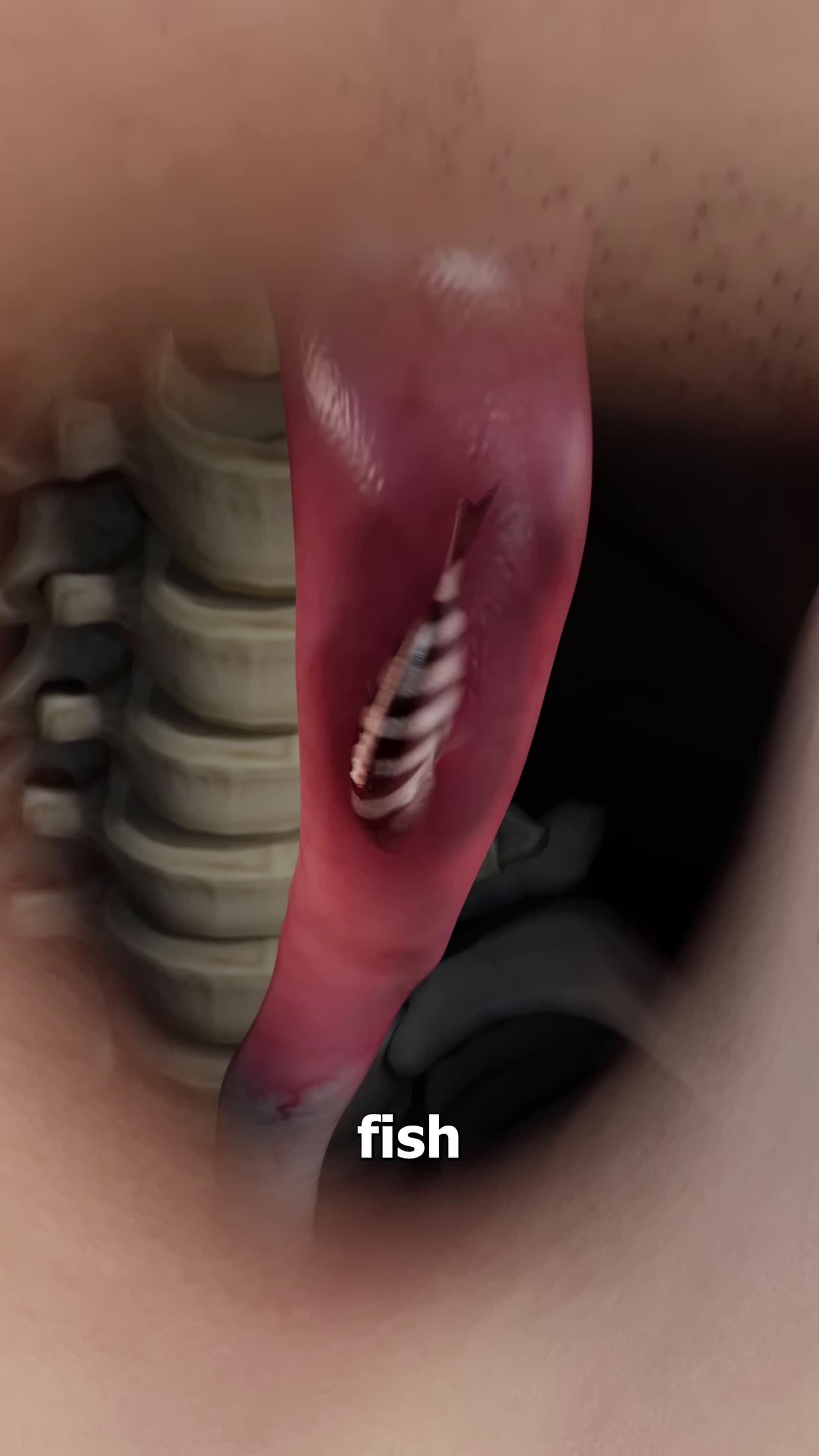 cover for What If You Swallow A Live Fish 🤔