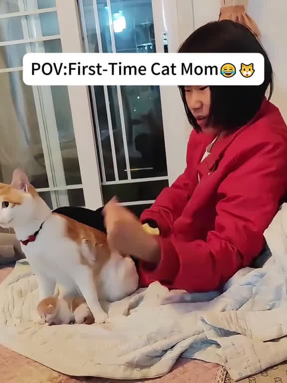 cover for First-Time cat mom=EPIC FAIL!😂🐱(Wait for#4!)#catsoftiktok #funnycat #catlover #funnypets #catcomedy #usa#usapets #funnyvideos #fyp #scoopz 